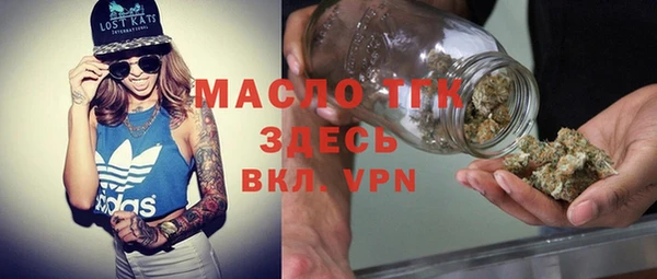 хмурый Аркадак
