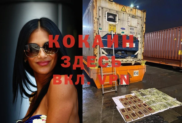 хмурый Аркадак