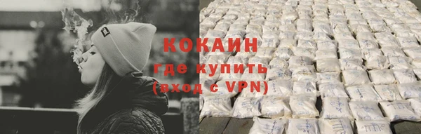 хмурый Аркадак
