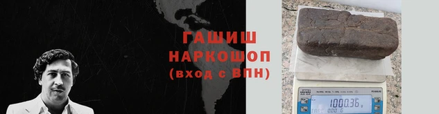 хмурый Аркадак