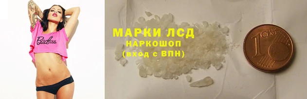 хмурый Аркадак