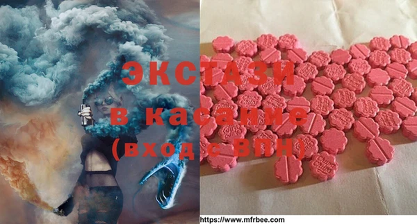 хмурый Аркадак