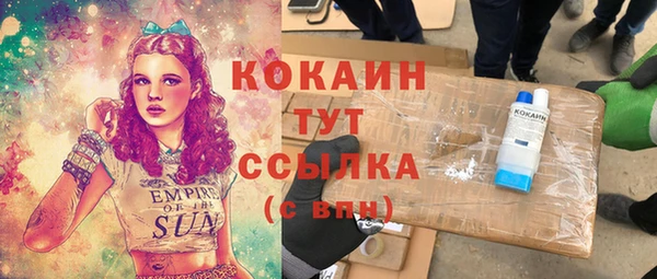 хмурый Аркадак