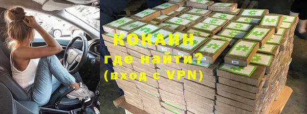 хмурый Аркадак