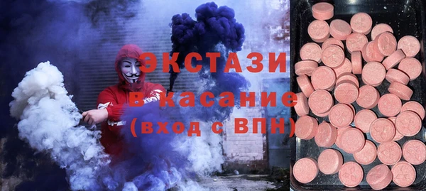 хмурый Аркадак