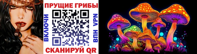 Псилоцибиновые грибы мицелий  Сим 